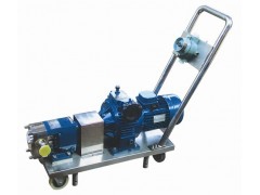 移動(dòng)式轉(zhuǎn)子泵